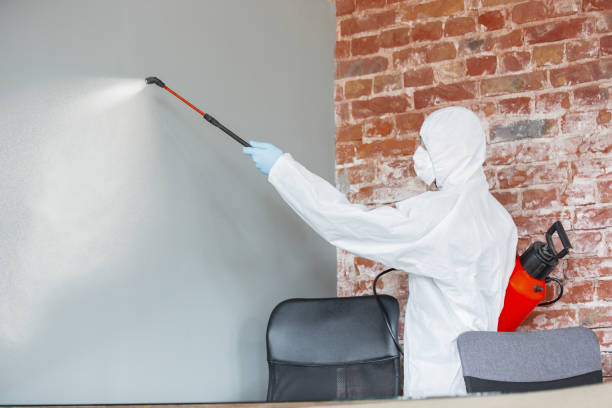 Best Biohazard Mold Removal  in Eagle Butte, SD