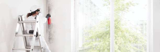 Best Water Damage & Mold Remediation  in Eagle Butte, SD