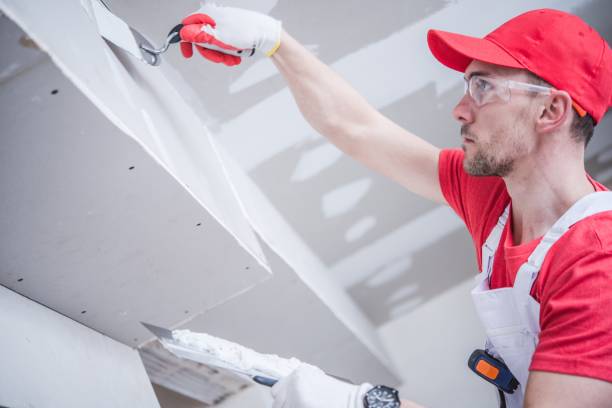 Best Crawl Space Mold Remediation  in Eagle Butte, SD